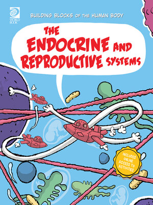 cover image of The Endocrine and Reproductive Systems
